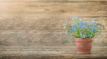 Summer background with blue flowers in the vase on the wooden backdrop