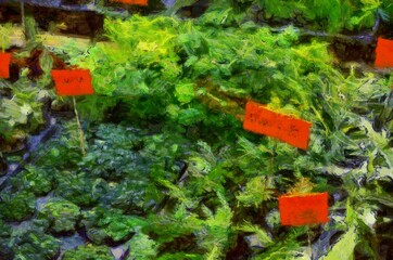 Agricultural flea market and flower shop Illustrations creates an impressionist style of painting.