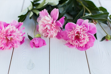 Pink fresh flowers on wooden background