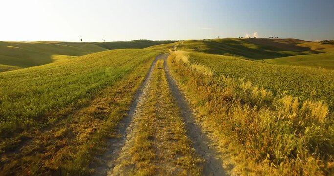 man running in an off road pathway. High tree on path side. Car moving in off road during sunset in Tuscany