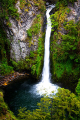 Obraz premium waterfall in the forest