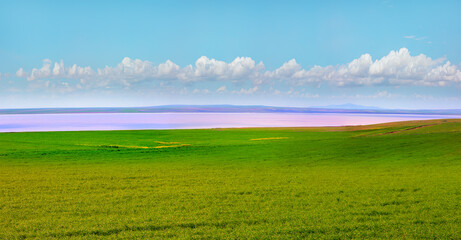 Fototapeta na wymiar Beautiful landscape with pink salt lake green grass field in the foreground - Ankara, Turkey