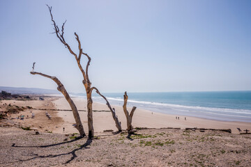 Paisaje desertico en la costa de Taghazout al sur de Marruecos