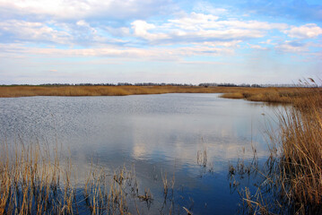 Lake with dry yellow reeds around, bright blue cloudy sky reflecting on water