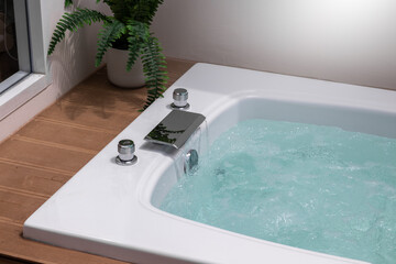 Close-Up Beautiful white bathtub with fern in spa, tree decoration for relax