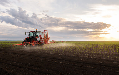 Tractor spraying corn field