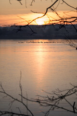 Birds in a group on the surface of a frozen lake at sunrise.