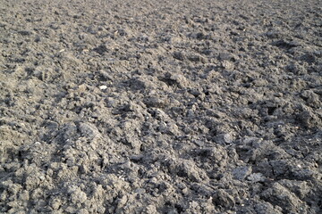 Treated soil. Land for planting agricultural plants. Background.
