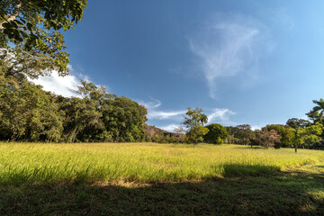 Natural landscape. Farm field, cut grass, tree and in the background, Pedra Grande mountain and blue sky. In Atibaia, São Paulo - Brazil.