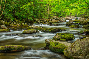 Naklejka na ściany i meble The Little River in the Great Smoky Mountains