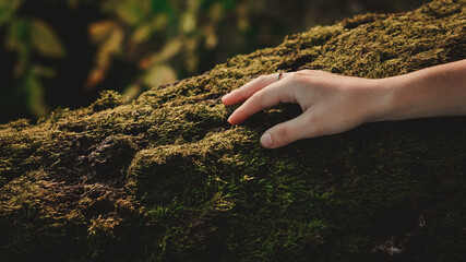 Hand touches moss