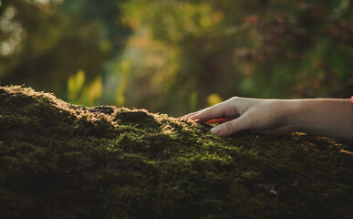 The girl's hand lies on a tree