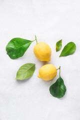 Ripe fresh lemons with green leaves on white background. Organic citrus fruits. Healthy food concept