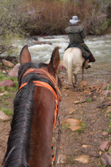 two horses approaching a river crossing in the outdoors with rider shown from behind