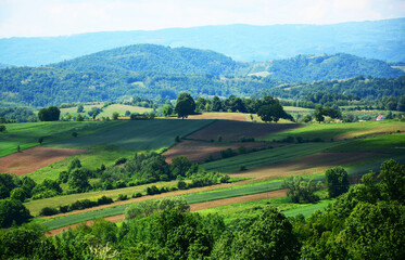 Fototapeta na wymiar landscape with green fields and hills