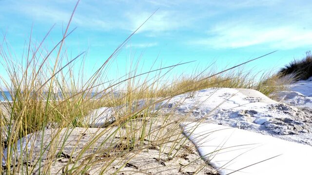Ostsee im Winter - Strand mit Schnee und Sonne