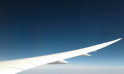 Aircraft - Wing - Blue Sky