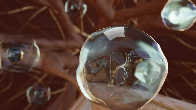 Hemocytoblast, producing red blood cell, blood cell formation, stem cell, erythrocytes, leukocytes, nucleus, cytoplasm, 3d render