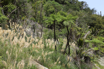 Fototapeta na wymiar Neuseeland Landschaft / New Zealand Landscape