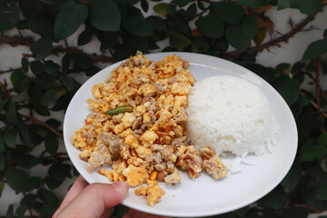 omelet or Thai omelet, Thai omelette or stir fried egg with rice
