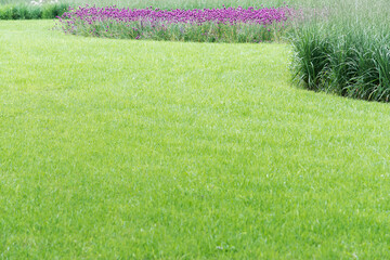 A view of a perfect lawn framed by a round flowerbed with various flowers.