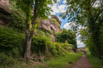 felsenburgruine drachenfels bei busenberg