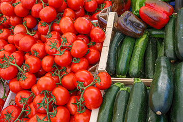 tomates et courgettes