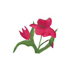 Fototapeta premium Hand-drawn floral composition with red poppies, green leaves, buds isolated on white background. Handmade in oil pastels. Tender design for postcards, wedding decorations, invitations. 