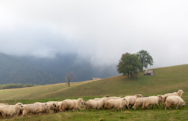 Landscape in Romania