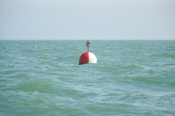 A marker buoy floating in the sea. beacon. Sunny late autumn afternoon.  - obrazy, fototapety, plakaty