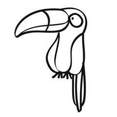 toucan bird on a branch © Daniela