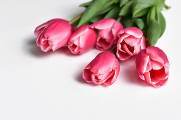 bouquet of pink tulips on white background