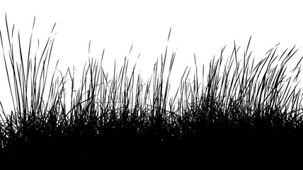 Silhouette d’herbes 