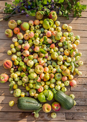 Freshly picked fruits from the field