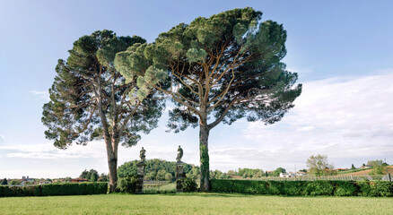 Bassano del Grappa, Italy - gate with statues from the vineyard of villa Angarano. Historic villa designed by the architect Andrea Palladio