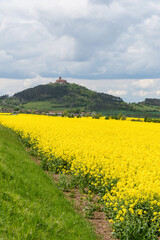 Rapsblüte im Frühjahr in Thüringen  bei der Veste Wachsenburg 