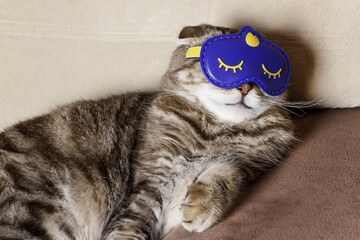 A funny cat sleeps in a mask.