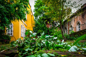 Obraz premium a church garden in istanbul over the leaves