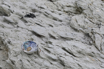 Eheringe / Wedding rings /