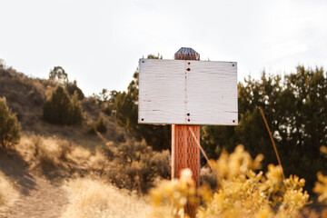 wooden white sign in the outdoors with bushes and trees and foliage around on trail in nature