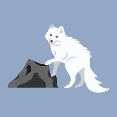 Beautiful cute fluffy white arctic fox. Cartoon illustration of a wild polar animal from the tundra, Siberia, north. Clipart, element for eco poster design of a charity for the protection of animals.