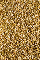 Dry Organic Steel Cut Oats