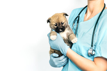 Colored pencils of various colors, Color background