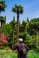 adult man traveler with backpack relaxing near the palm trees