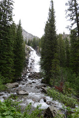 Fototapeta na wymiar Waterfall in the woods near Jenny Lake in Grand Teton National Park in Wyoming on a cloudy day