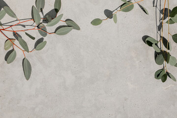 Grey concrete background texture with eucalyptus branch in the right corner. Warm tones.  