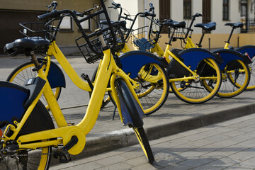 Carsharing bicycles stand in a row near the road in the city