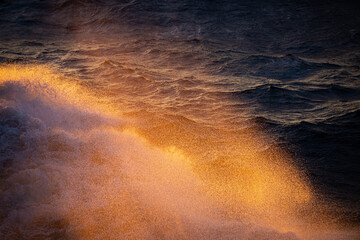 orange bow wave