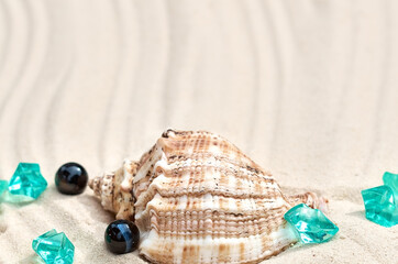 a large seashell with blue crystals on the sand in perspective