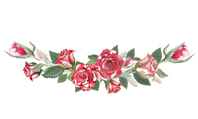 Border roses  on a white background. Vector illustration. Vintage floral elements. Use for decoration, cards, frames, flyers, banners, invitations, greetings, messages, etc. 